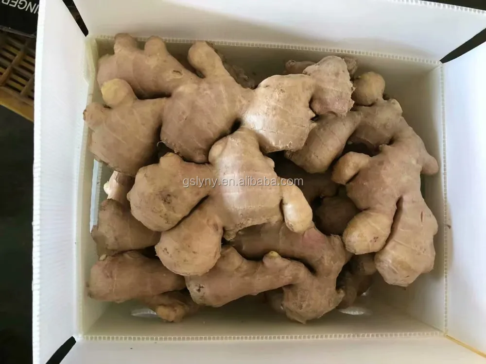 1kg Fresh Ginger Price Red Ginger Buy Fresh Ginger,1kg Fresh Ginger