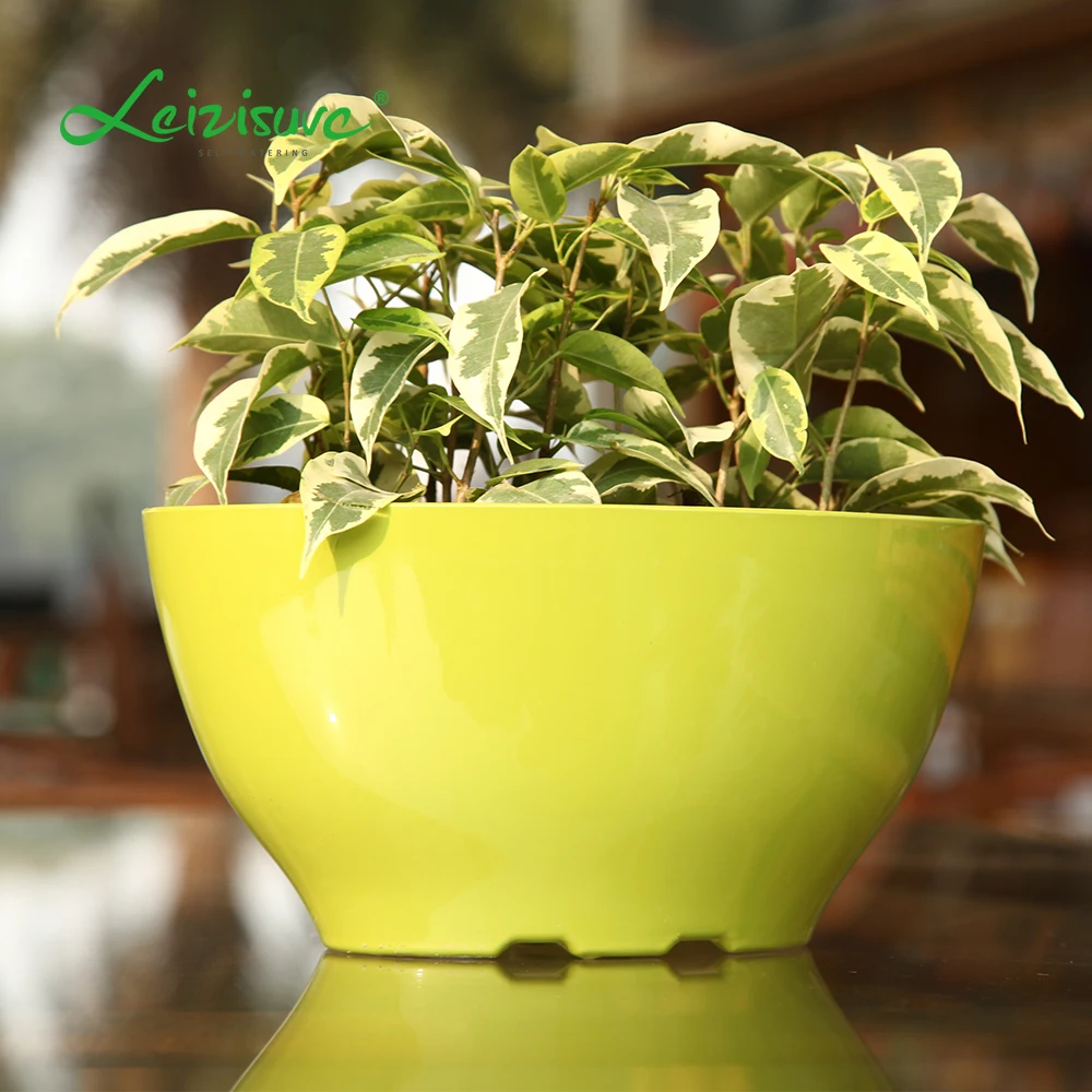 

Leizisure Deskpot Home Decor Small Plastic Oval Curve Selfwatering Indoor Herb Succulent Garden Bowl Planter Flower Pot