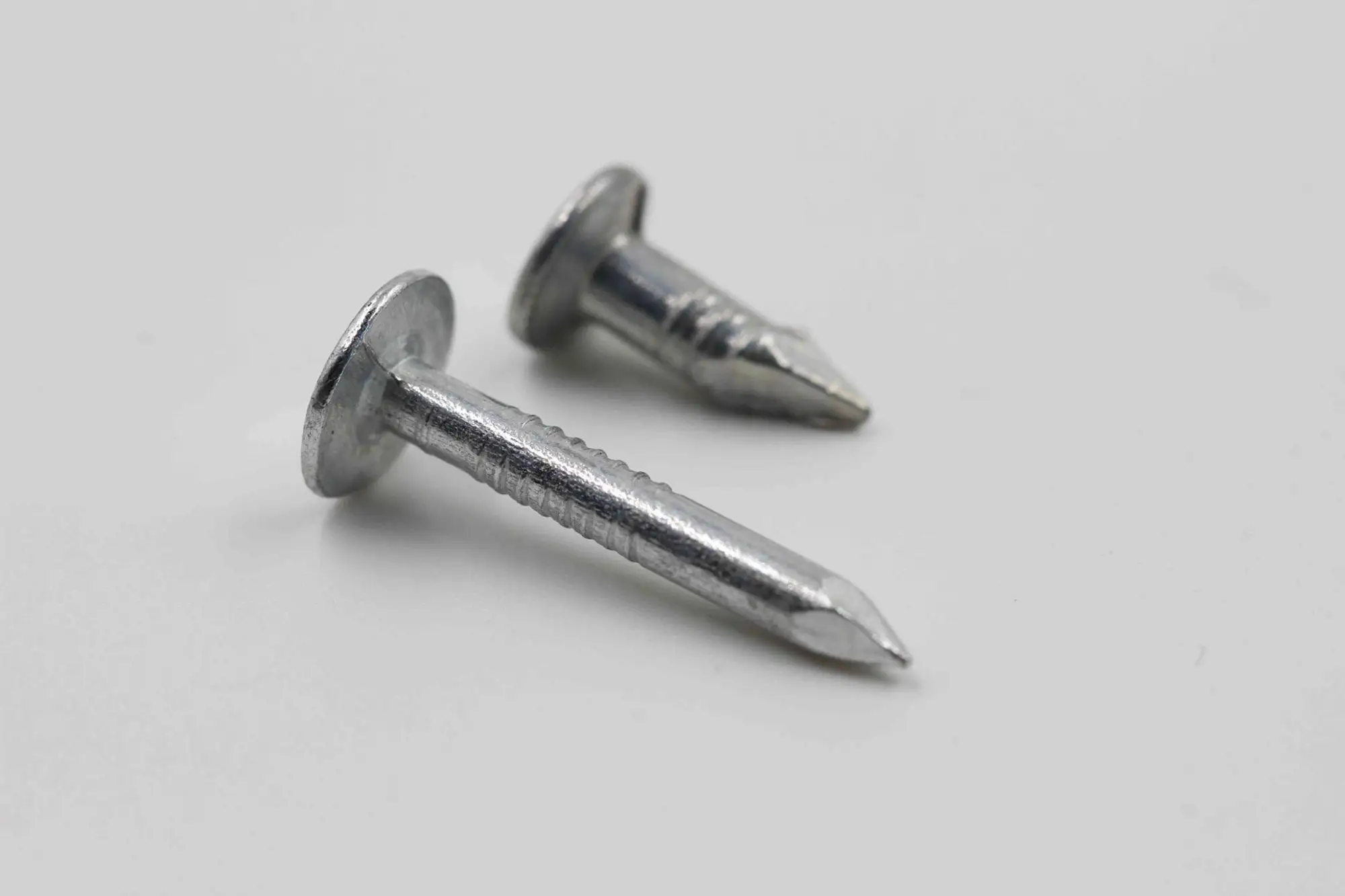 Clout Nail Large Head Nail Used For Fixing Of Ceiling Boards & Slate