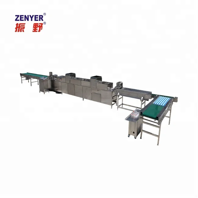 
small manufacturing egg processing machine egg washer 