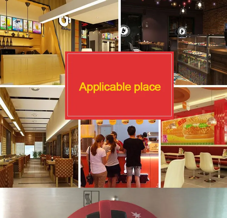 Commercial Restaurant Equipment Countertop Gas Chips Fryer/ Gas Deep