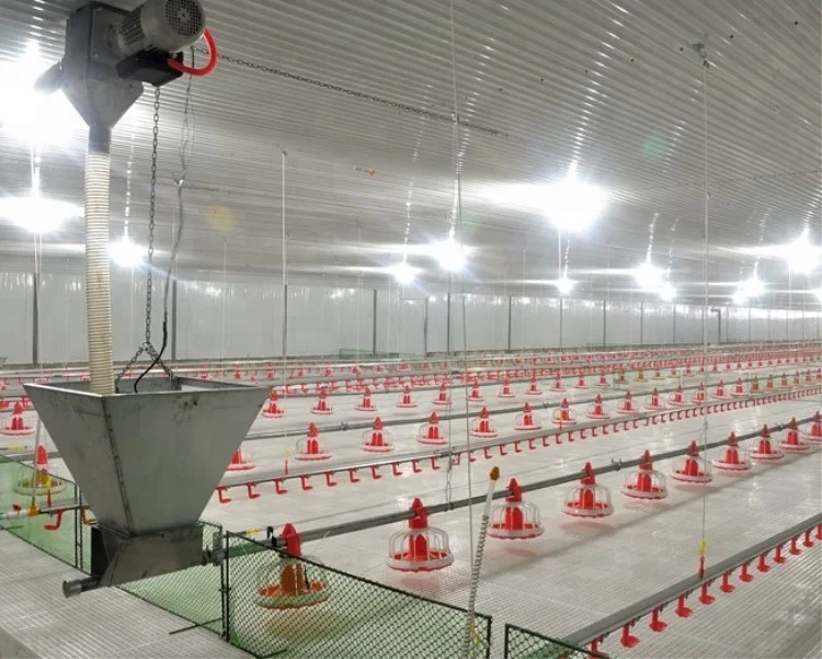 feeding drinking line 7.jpg