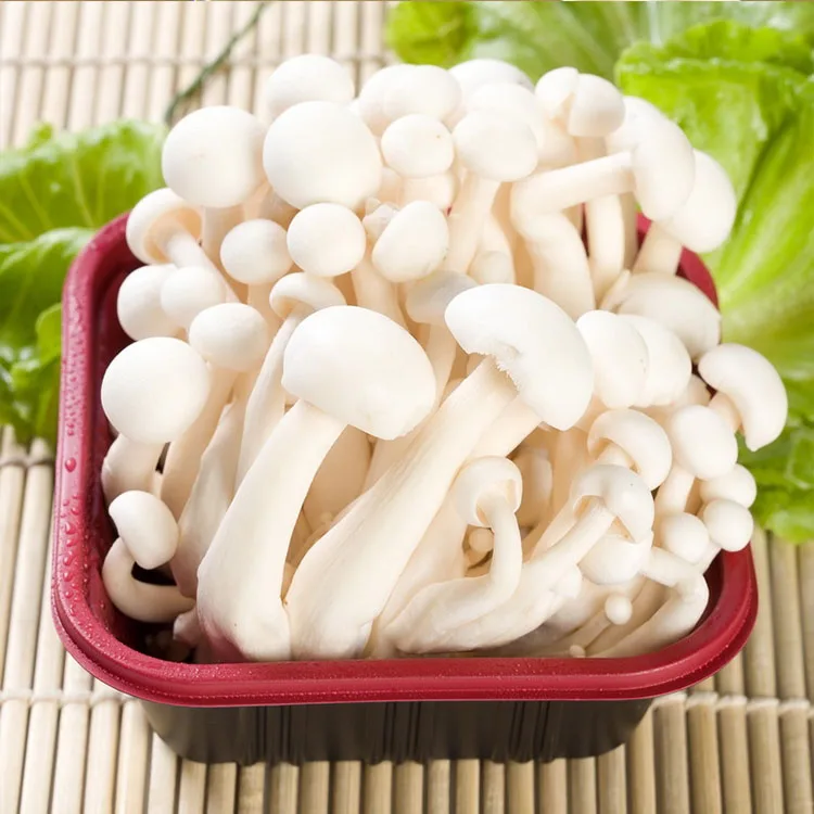 Купить китайские грибы