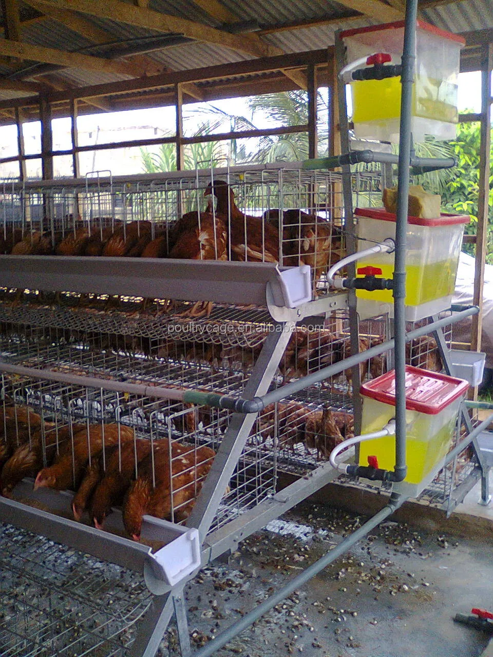 Types Of Layer Chicken Cages For Zimbabwe Poultry Farms Buy Types Of