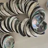 2018 big promotion new zealand paua shell abalone in stock