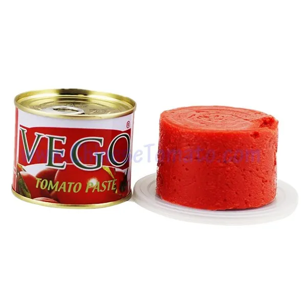 Small Canned Tomato Paste Size 70g Double Concentraction Buy Tomato Paste Factory,Tomato Paste