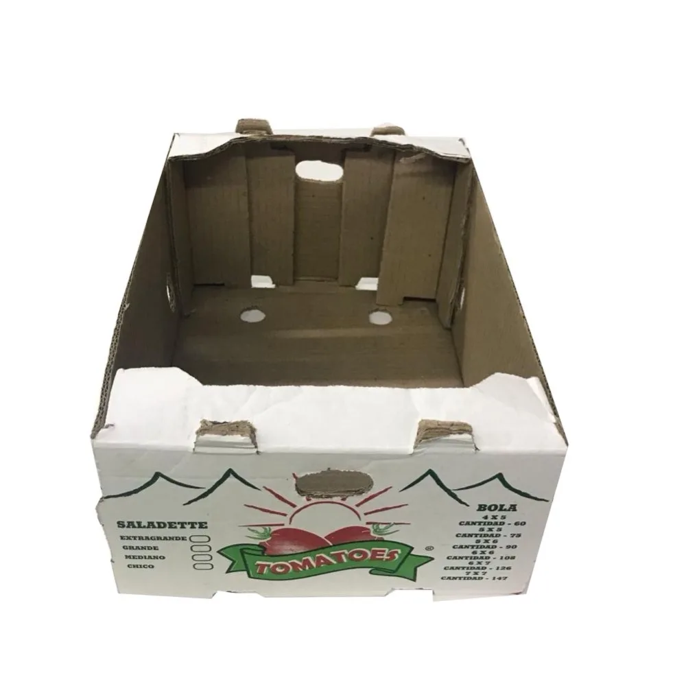 

Mushroom Card Board Packaging Box Cucumber Boxes Design Paper Packing Carton Box For Fresh Mushroom