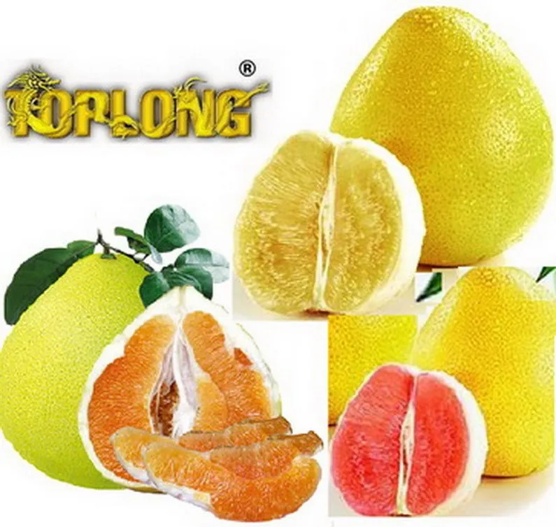
color pomelo (shaddock) 