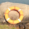 Swimming pool custom life saving buoy ring