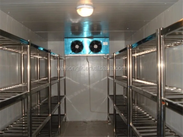 Commercial Prefabricated Cold Room Deep Freezer For Frozen Chicken Meat