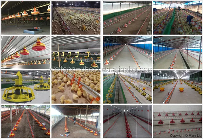 Automatic Livestock Feeders For Broiler Chicken Buy Automatic