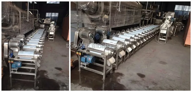 fruit juicer (6).jpg