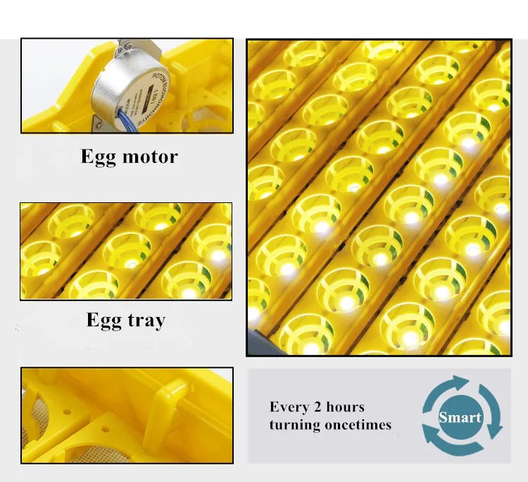 Best temp for chicken egg incubator