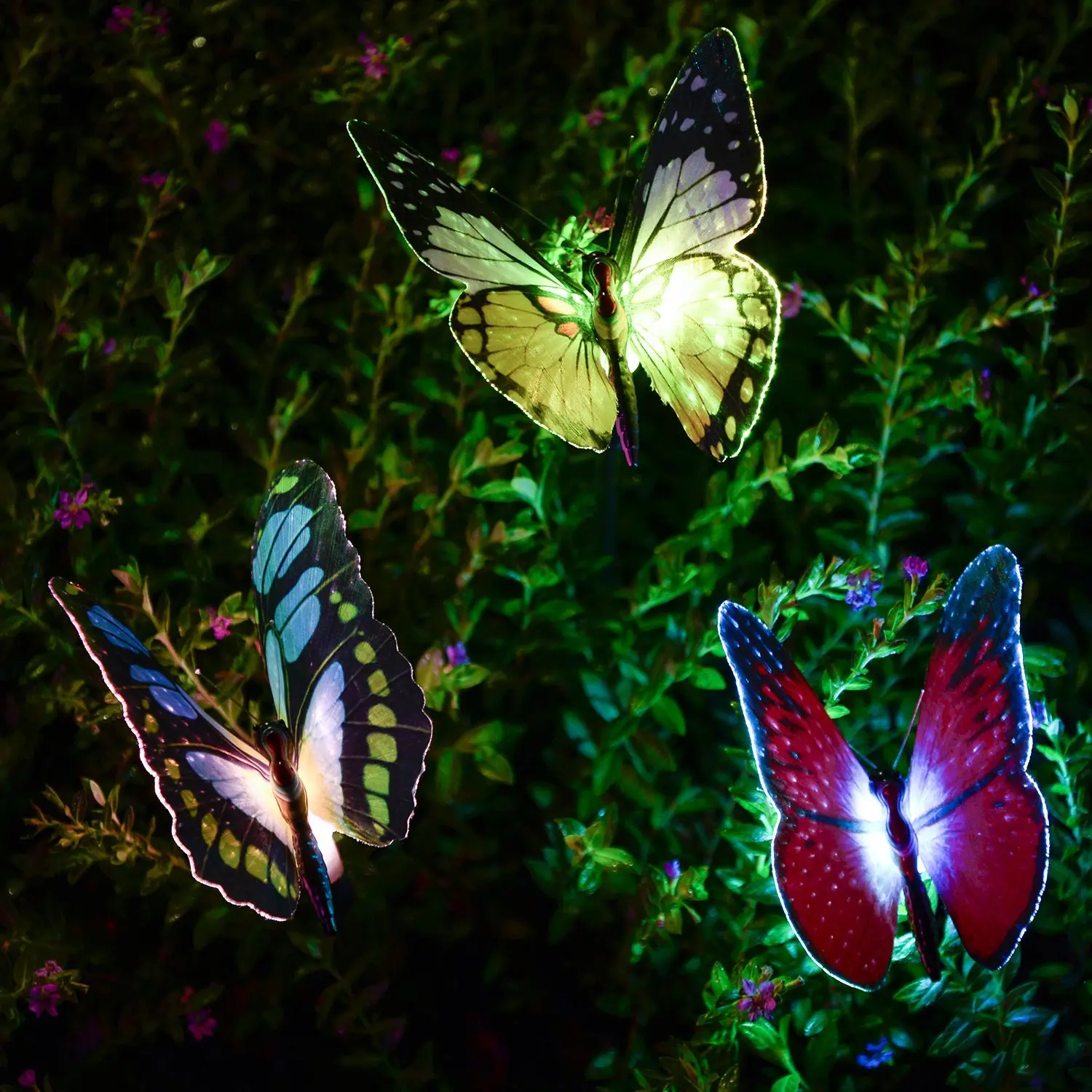 свет бабочка. неоновые бабочки. свет бабочка. бабочки в природе. бабочки летят на свет.