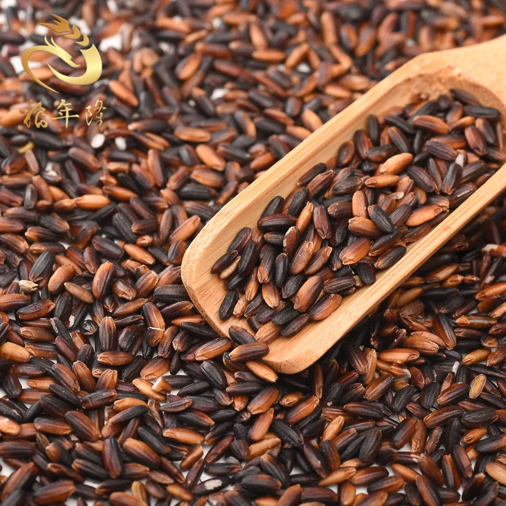 
100% Wholesale Glutinous rice Pakistan Quality Black Sticky Rice 