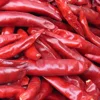 /product-detail/mytext-hot-spicy-chaotian-dried-red-chili-chili-pepper-price-60727583616.html