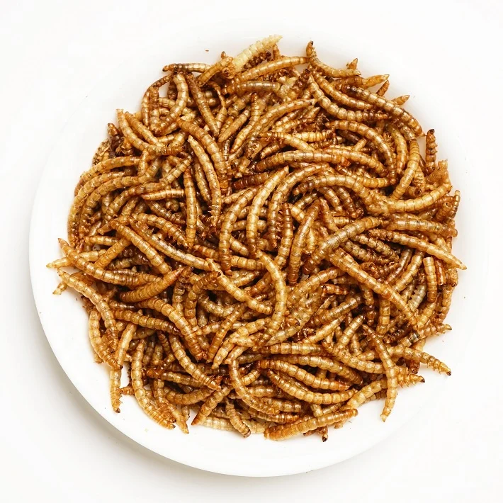 Feed object