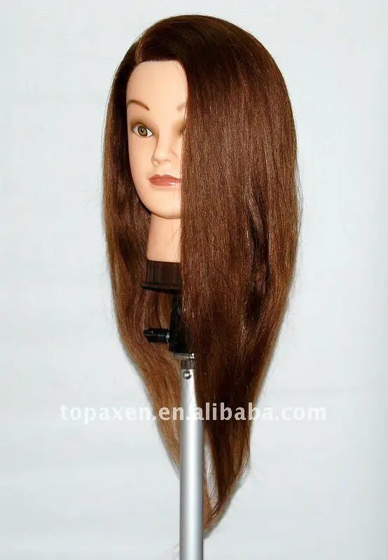 cosmetology mannequin head with hair