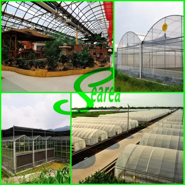 sort greenhouse.jpg
