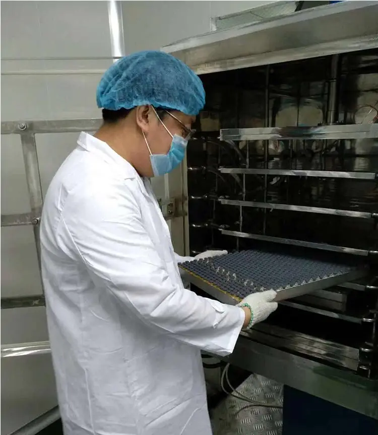 Industrial Vacuum Freezing Drying Machine for Food Freeze Dryer