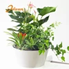 2018 new product plastic flower pot tray / colorful self watering garden plant flower pot