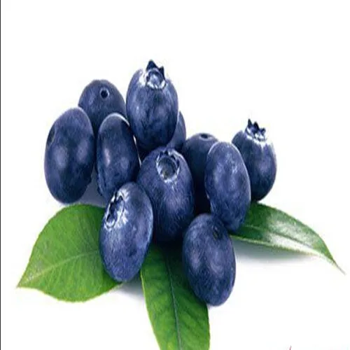 natural bilberry p.e anthocyanidins 25%