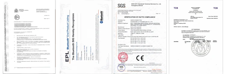 cer2.jpg