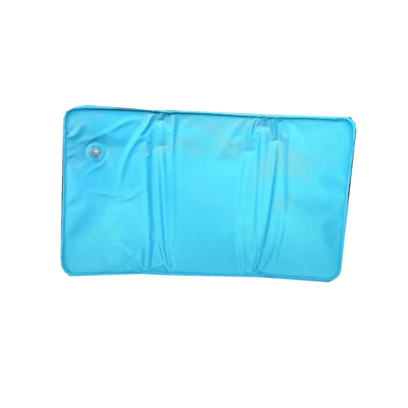 Cool Pad Pillow Topper Cold Therapy Frosty Cooling Pillow Gel Cover