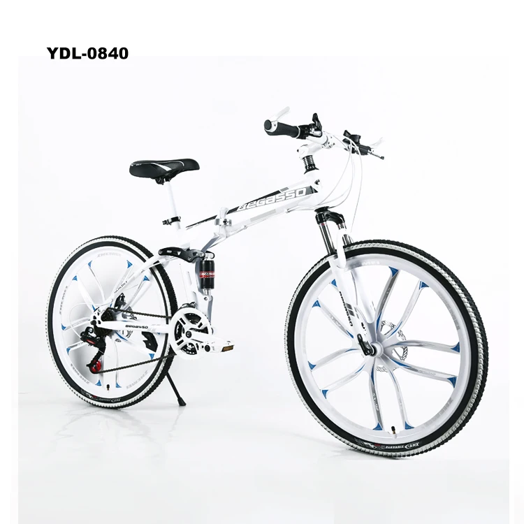 begasso folding bike