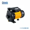 CM Series water pump 1 inch water jet pump price