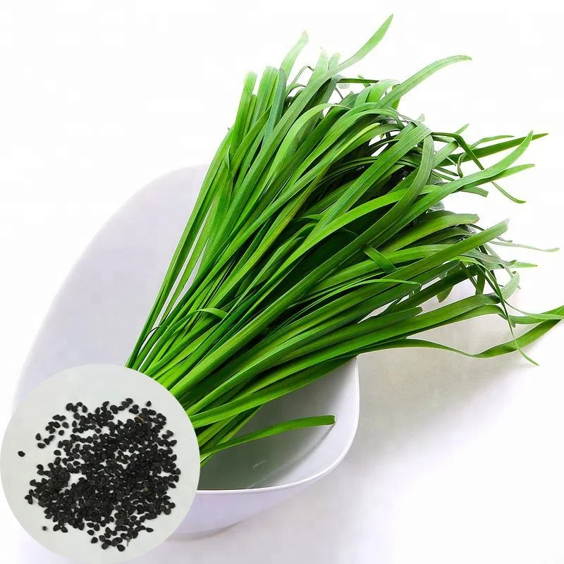 

Fragrant Flowered Garlic High Yield Vegetables Broad Leaf Chinese Chives Seeds