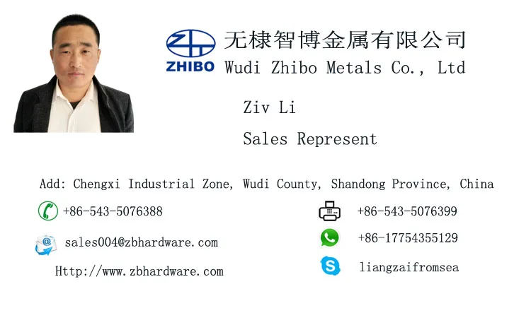 High Polished Stainless Steel Screw Pin US Type D Shackle