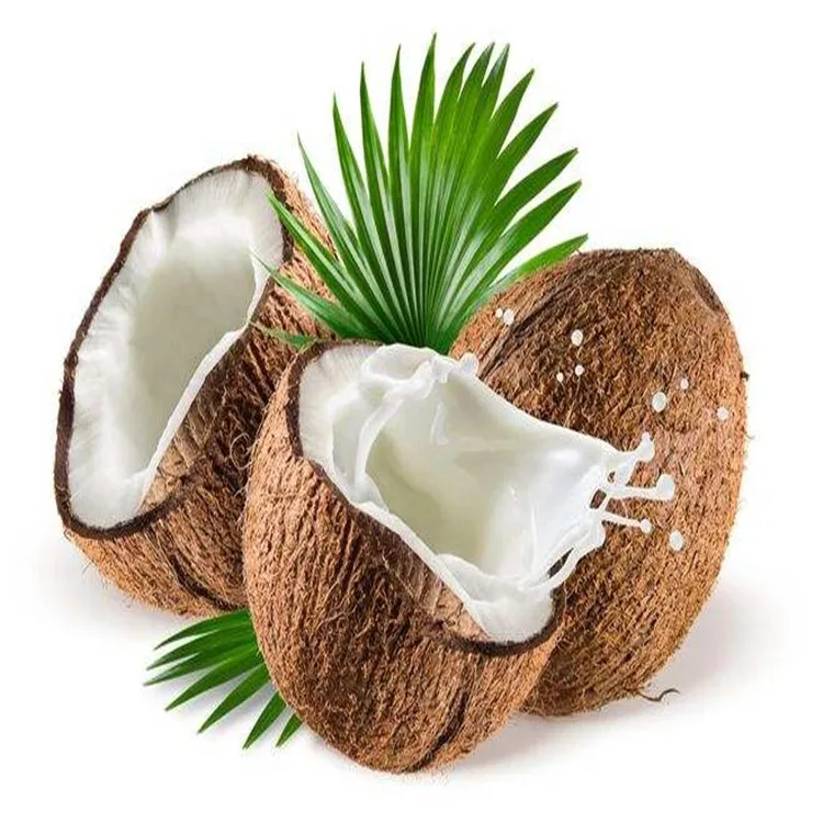 organic coconut moisturizer