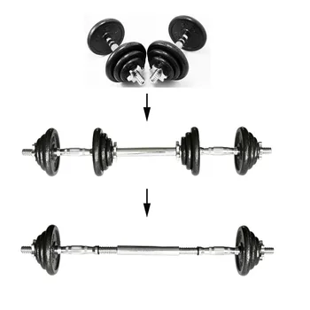 barbell and dumbbell