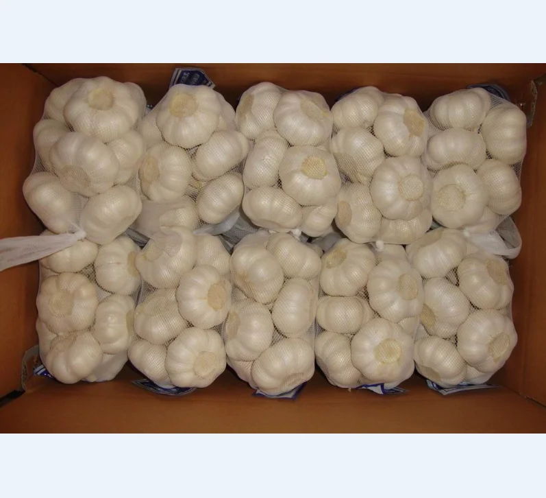 2018 中国新鲜大蒜白蒜质量好