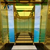 Rated load 1600kg Luxury design Golden pattern carving Panoramic glass elevator