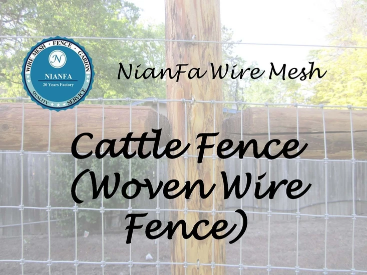 cattle fence (1).jpg