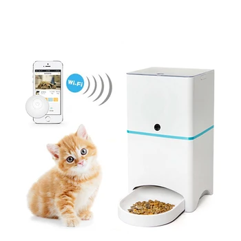 Automatic Pet Food Dispenser Pet S Gallery