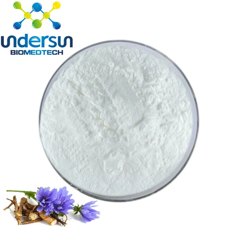 Natural 90% 95% Inulin Chicory Root Extract Powder