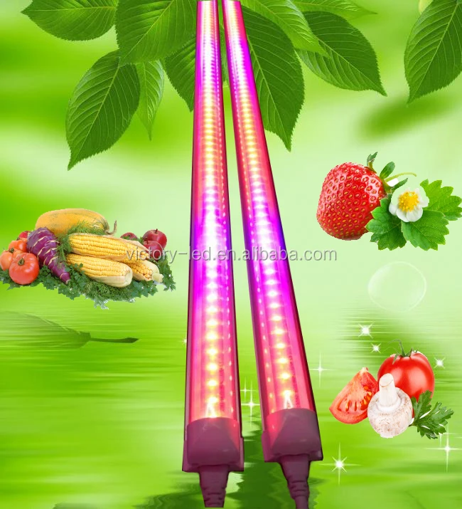 greenhouse tent plant lighting G13 Integrated T8 led grow light tube red blue color