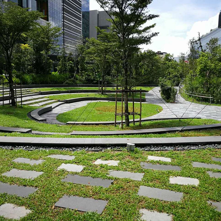 Singapore-1 (2)