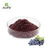 Manufacturer suppliers provide High quality grape seed extract