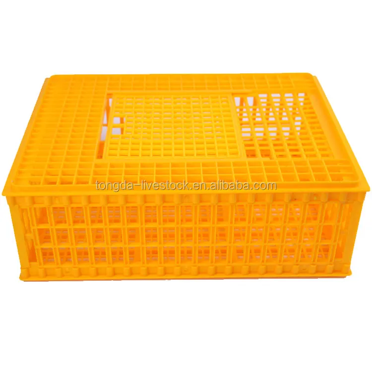 Brand New Pigeon Transport Crate With High Quality Buy Pigeon