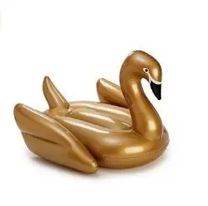 motorcycle pool float