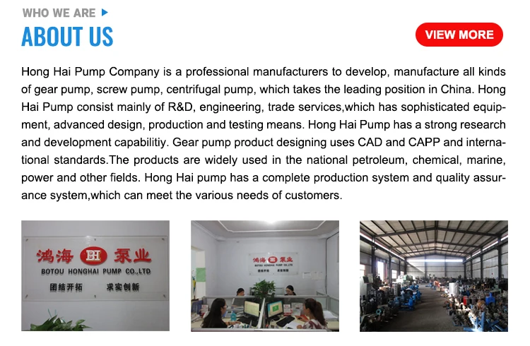 Low pressure electric oil lubricant gear pump