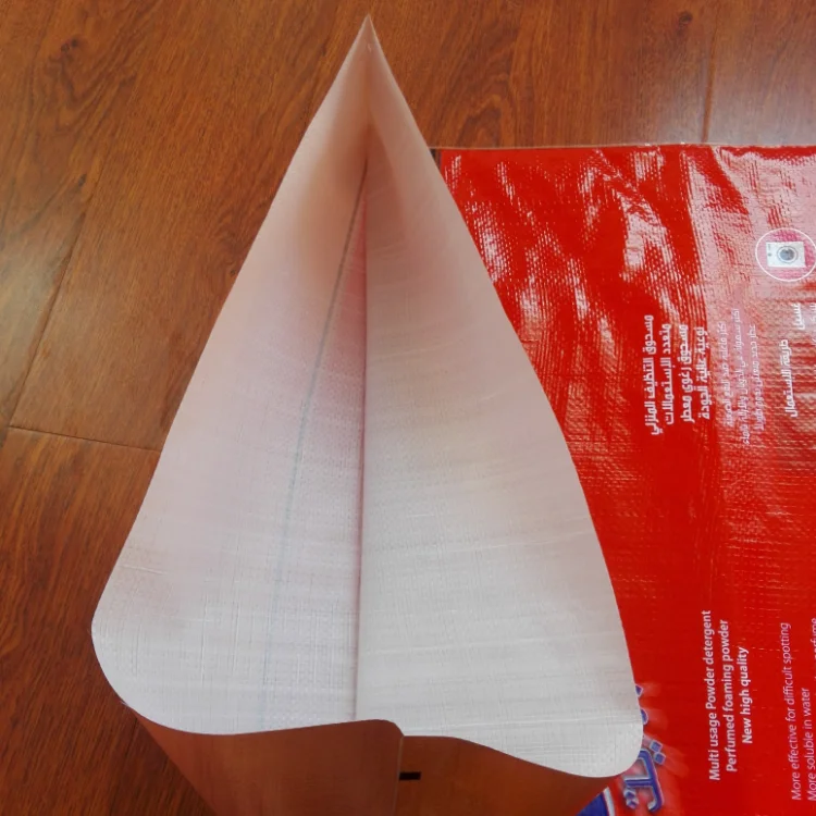 detergent bag 1 (4).png