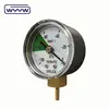 300bar Pressure Gauge With Brass Internals