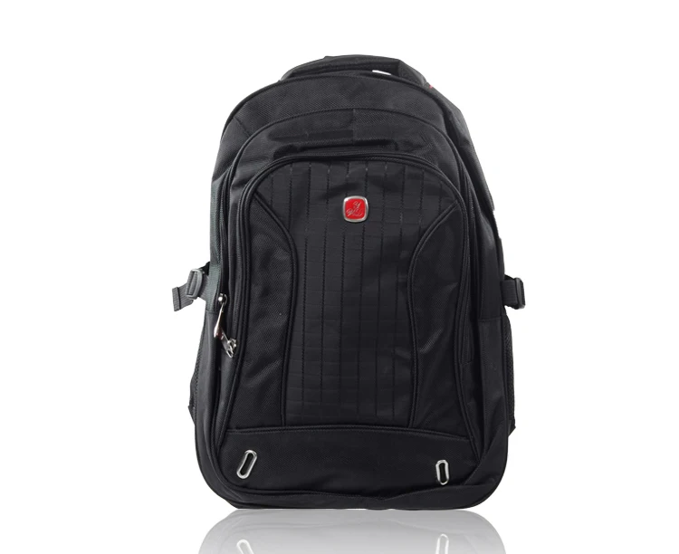 skybags travel backpack