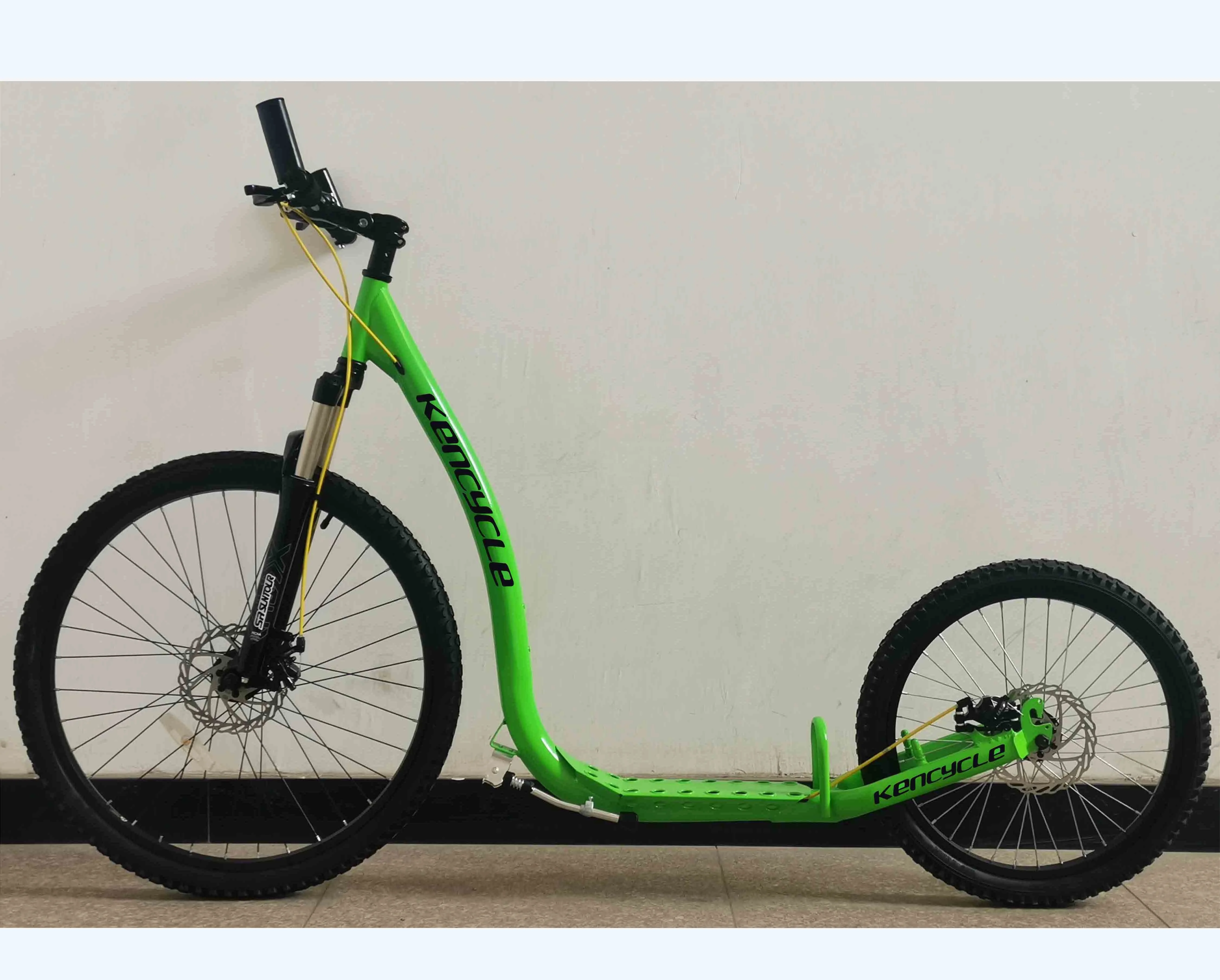 

2021 New design Fashionable Adult Kick Scooter/dog Scooter/ Street Footbike(SY-SC262069), Customized color