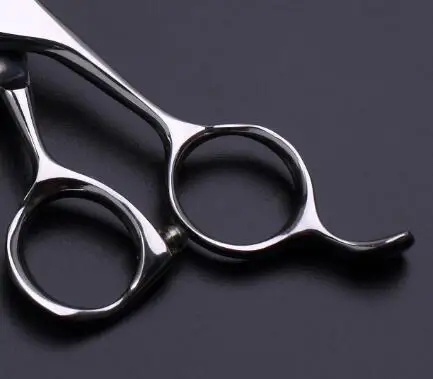 pet scissor
